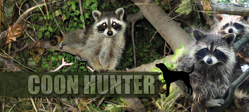 Coon Hunter PROOF